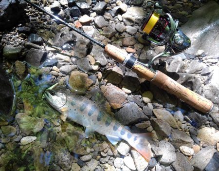 渓流ミノーイング